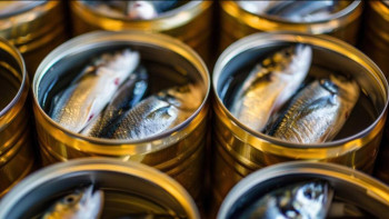 Фотография к новости: Балық шаруашылығына серпін: Кәсіпкерлерге 5%-бен несие ұсынылады