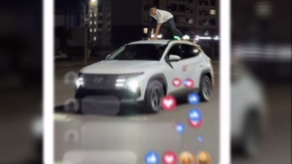  видеодан скриншот