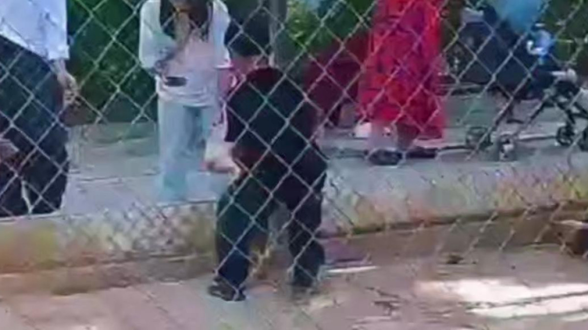  видеодан алынған кадр