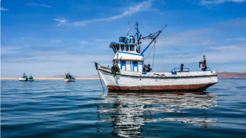 Фотография к новости: АҚШ Тынық мұхитында күдікті кемеге соққы жасады: 4 адам қаза тапты