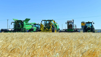 Фотография к новости: Қазақстан Түркияға астық экспортын ұлғайтуды көздейді 