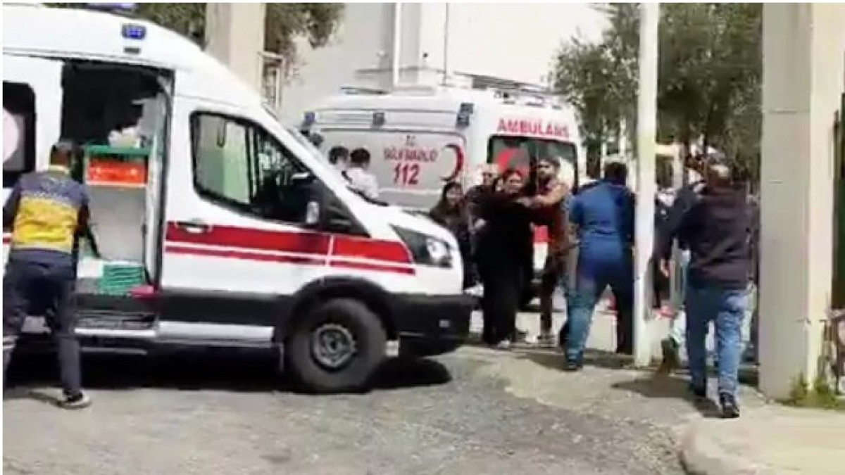  видеодан скриншот