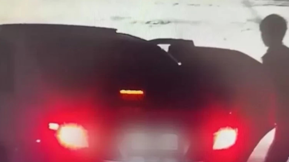  видеодан скрин