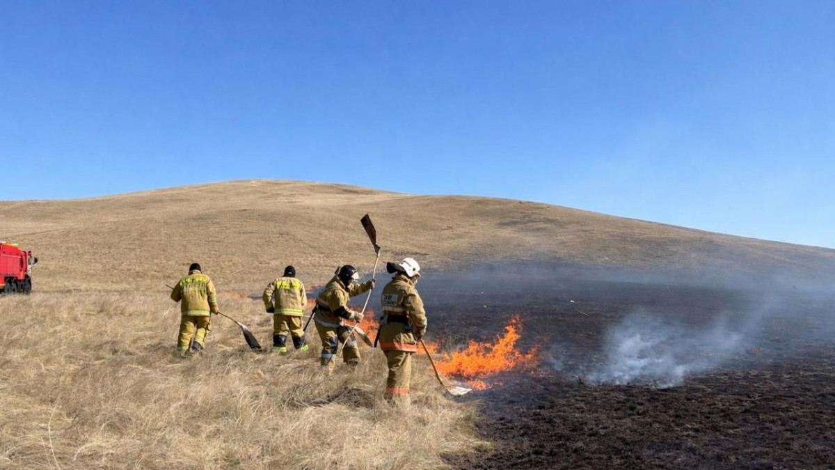  ТЖМ баспасөз қызметі