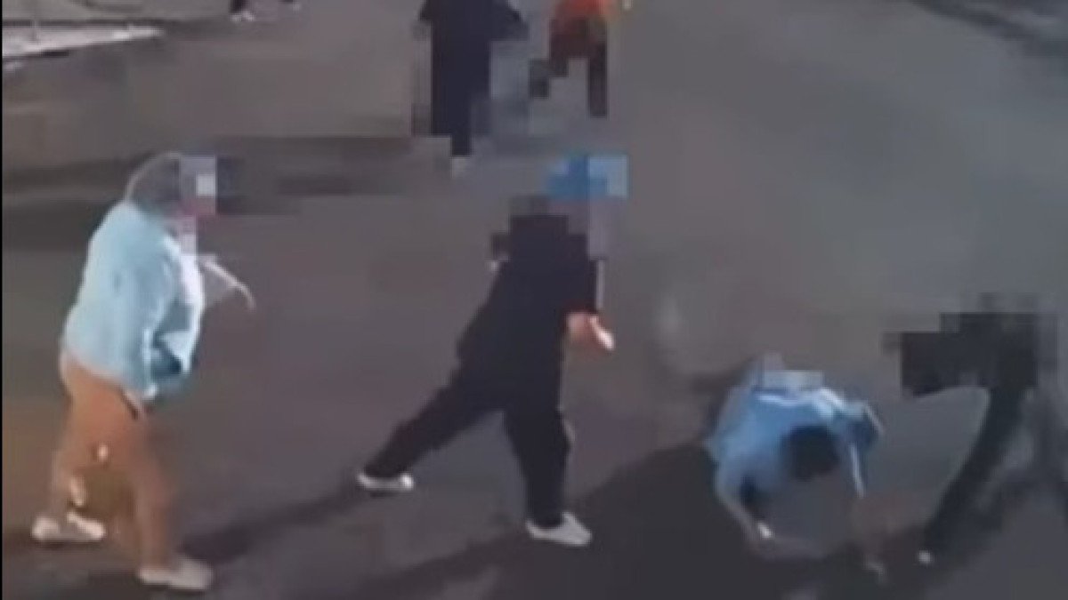  видеодан скриншот