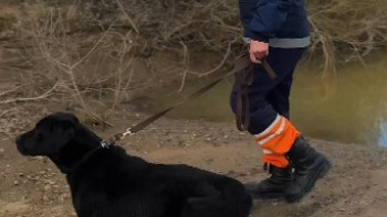 Фотография к новости: Ақтөбе облысында жоғалып кеткен 10 жасар баланың денесі табылды