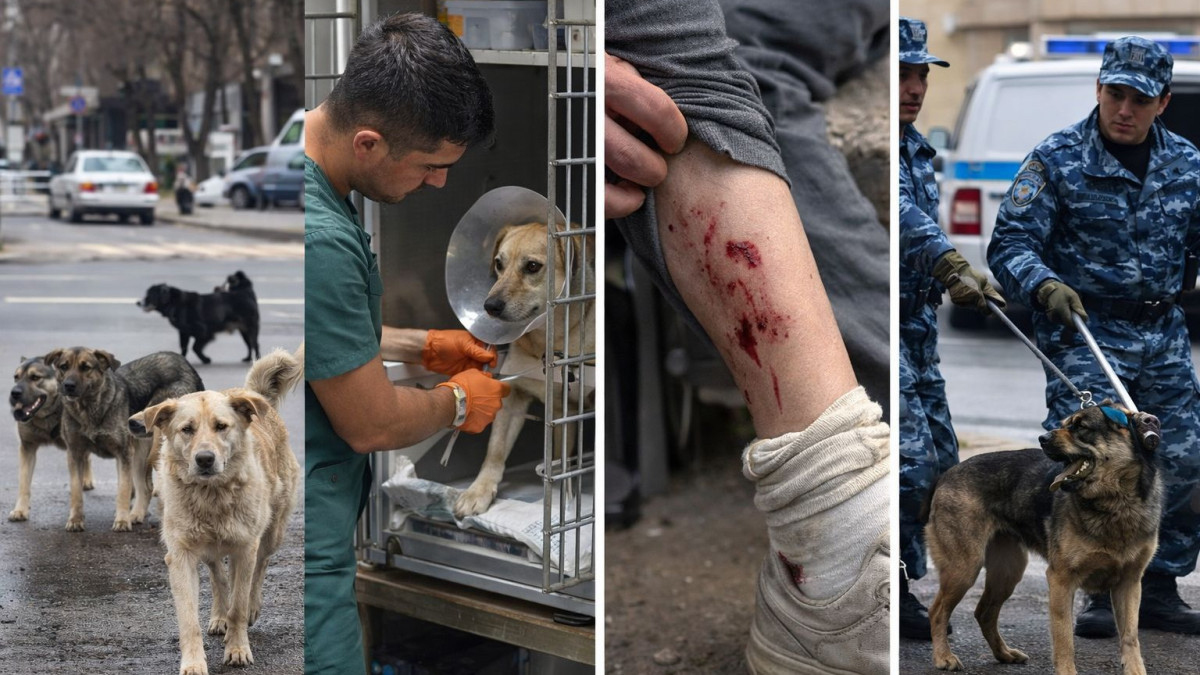  ©BAQ.KZ/жасанды интеллект