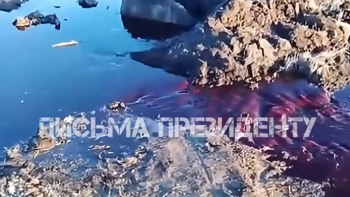  видеодан алынған кадр