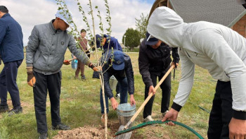 Фотография к новости: Қазақстанда «Мәдени мұраны бірге сақтайық» атты республикалық акция өтті
