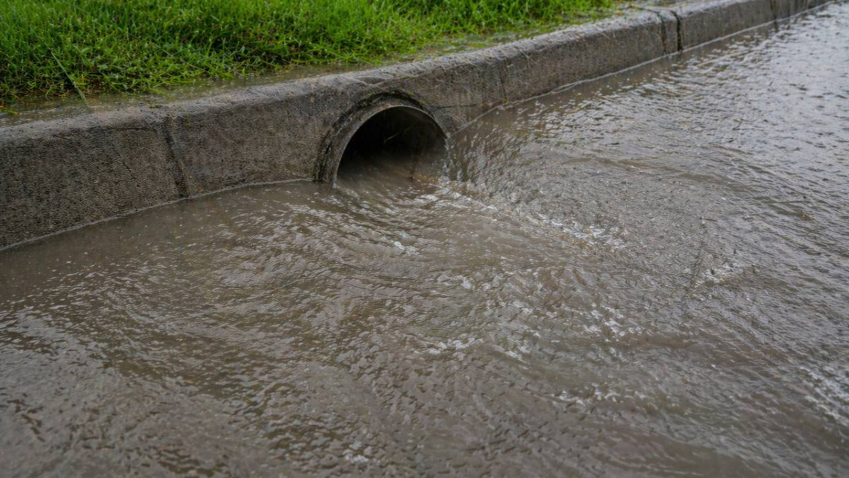  ©BAQ.KZ/жасанды интеллект