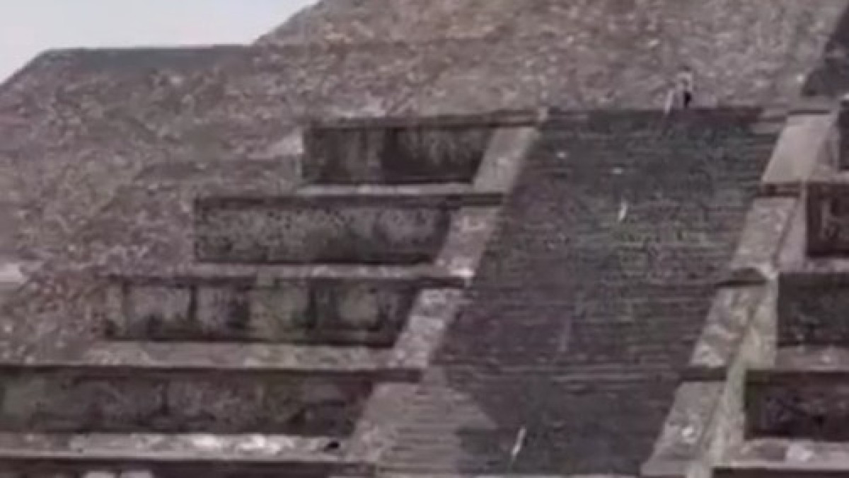  видеодан скриншот