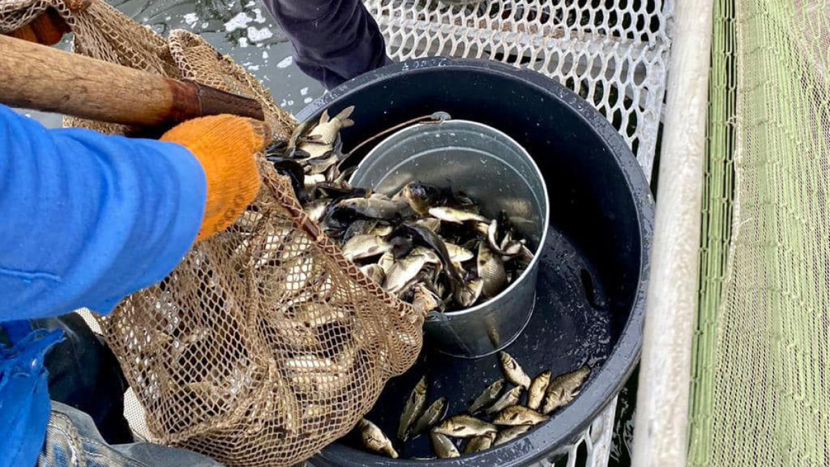  ҚР ЭТРМ Балық шаруашылығы комитеті