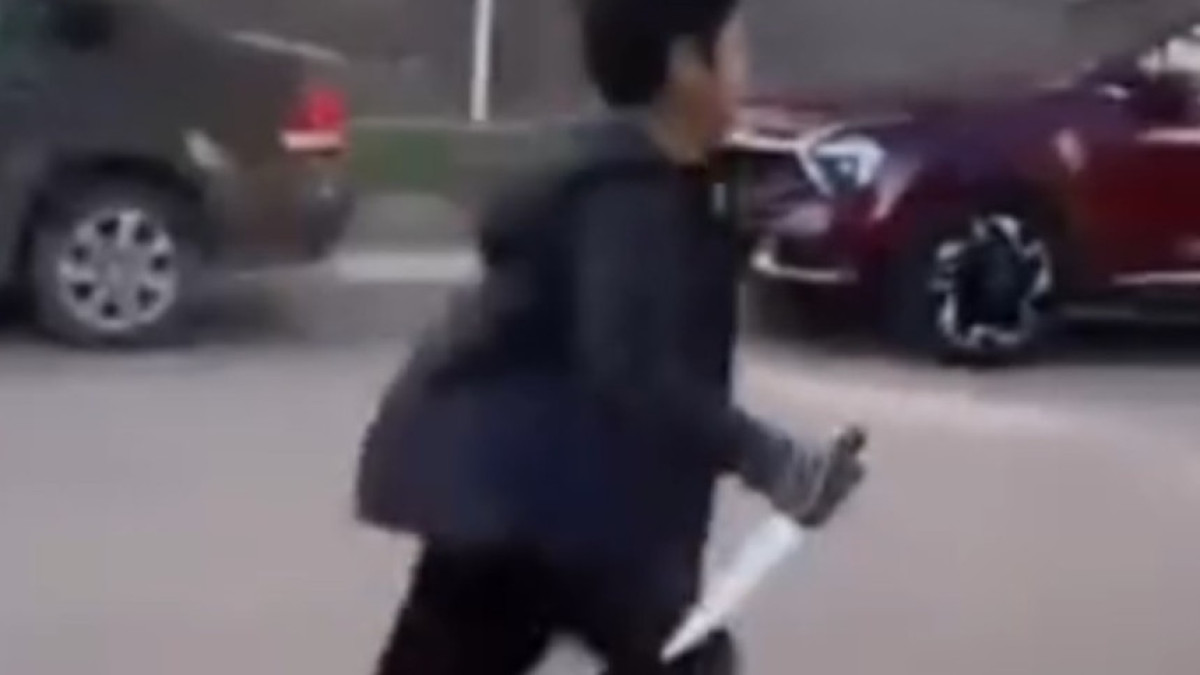  видеодан скриншот