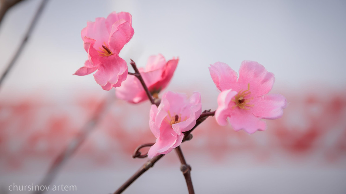  ©BAQ.KZ архиві/Артем Чурсинов