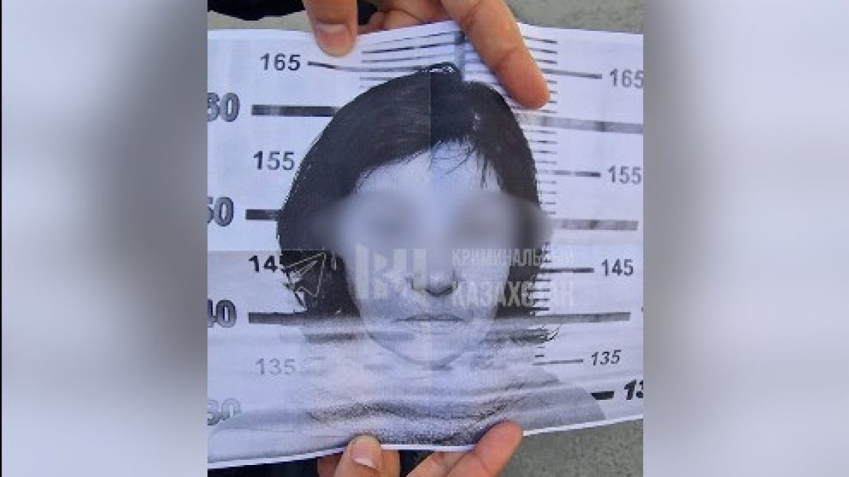  видеодан скриншот