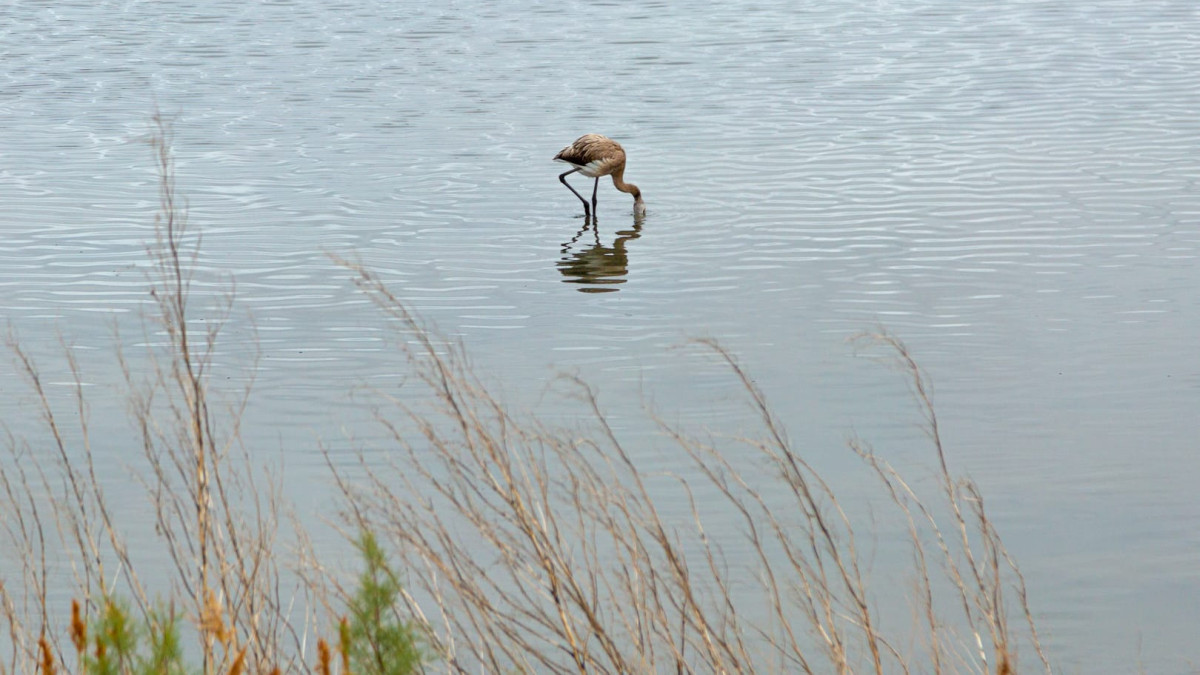  ©BAQ.KZ архиві/Артём Чурсинов