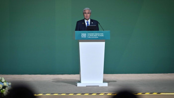 Фотография к новости: Президент экология мәселесінде дамушы елдердің мүддесін ескеруге шақырды