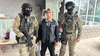 Фотография к новости: Шекараны мал бағумен бүркемелеген: Жамбылда шетелдіктерді заңсыз өткізген топ ұсталды