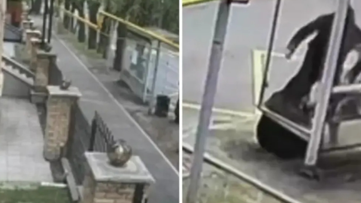  видеодан алынған кадр