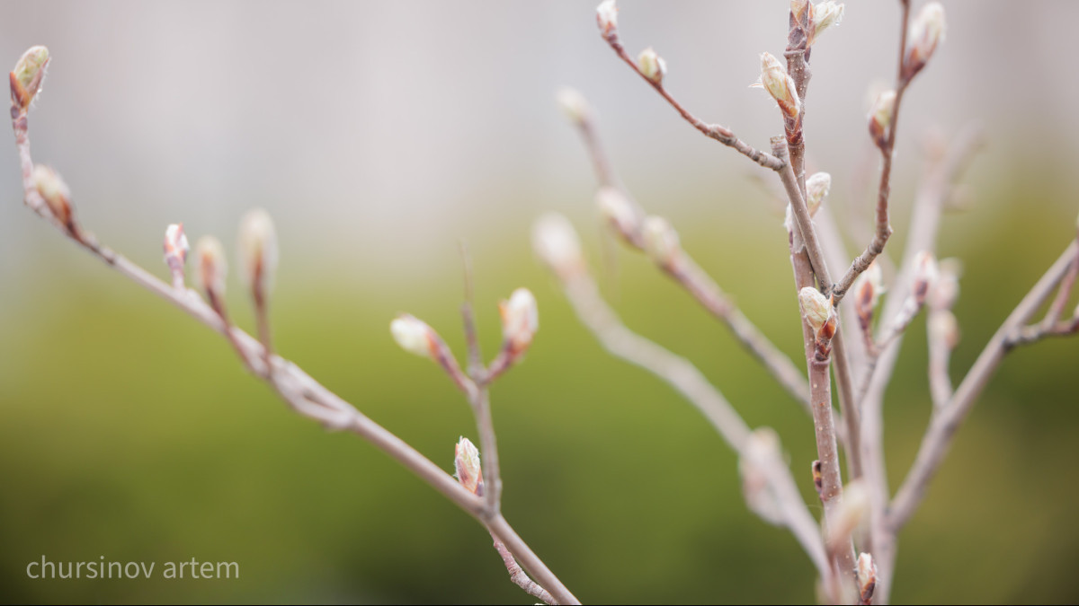  ©BAQ.KZ архиві/Артём Чурсинов