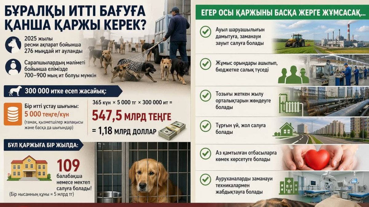  instagram.com/zhangyedil