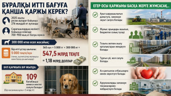 Фотография к новости: Бұралқы иттерді асырау қанша тұрады? Шығын есептелді
