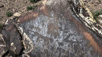 Фотография к новости: Маңғыстауда вандалдар ежелгі петроглифтерді бүлдіріп кеткен