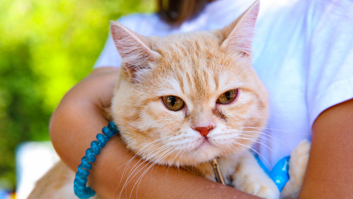  ©BAQ.KZ/Виктор Федюнин