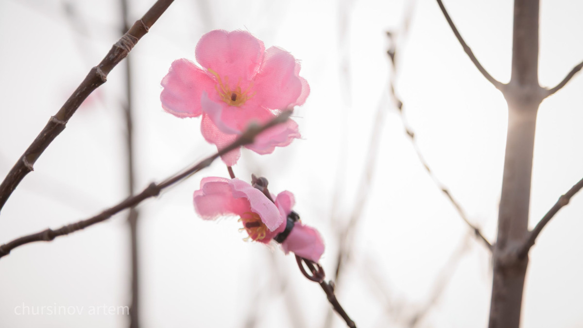  ©BAQ.KZ архиві/Артем Чурсинов