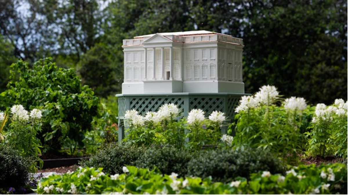  White House/Andrea Hanks