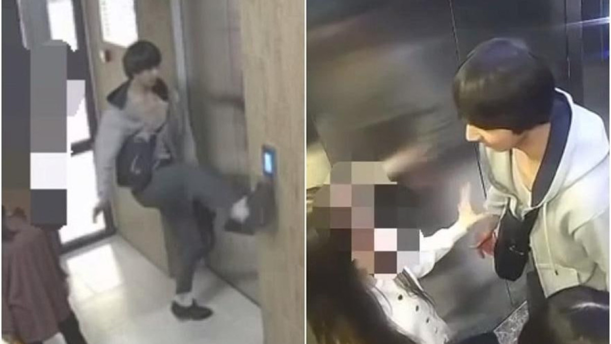  видеодан скриншот