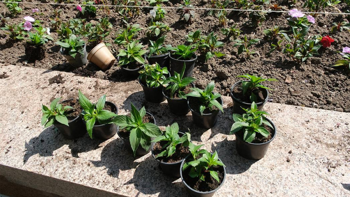  Алматы қаласы әкімдігі