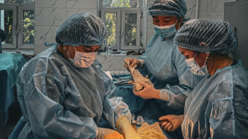 Фотография к новости: Семейде 47 жастағы әйелдің ішінен 6 келілік ісік алынды