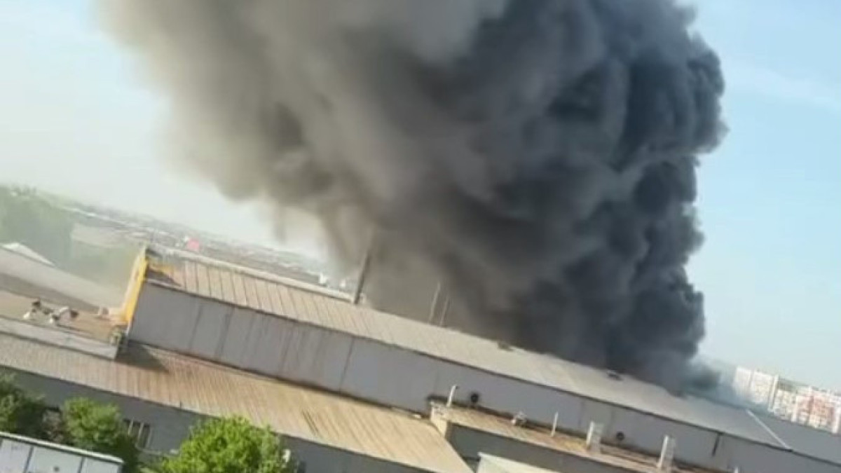  видеодан алынған кадр