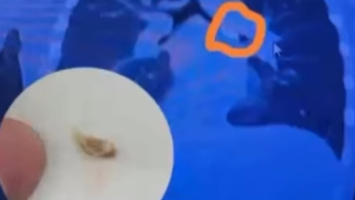  Алматы қалалық балалар клиникалық ауруханасы