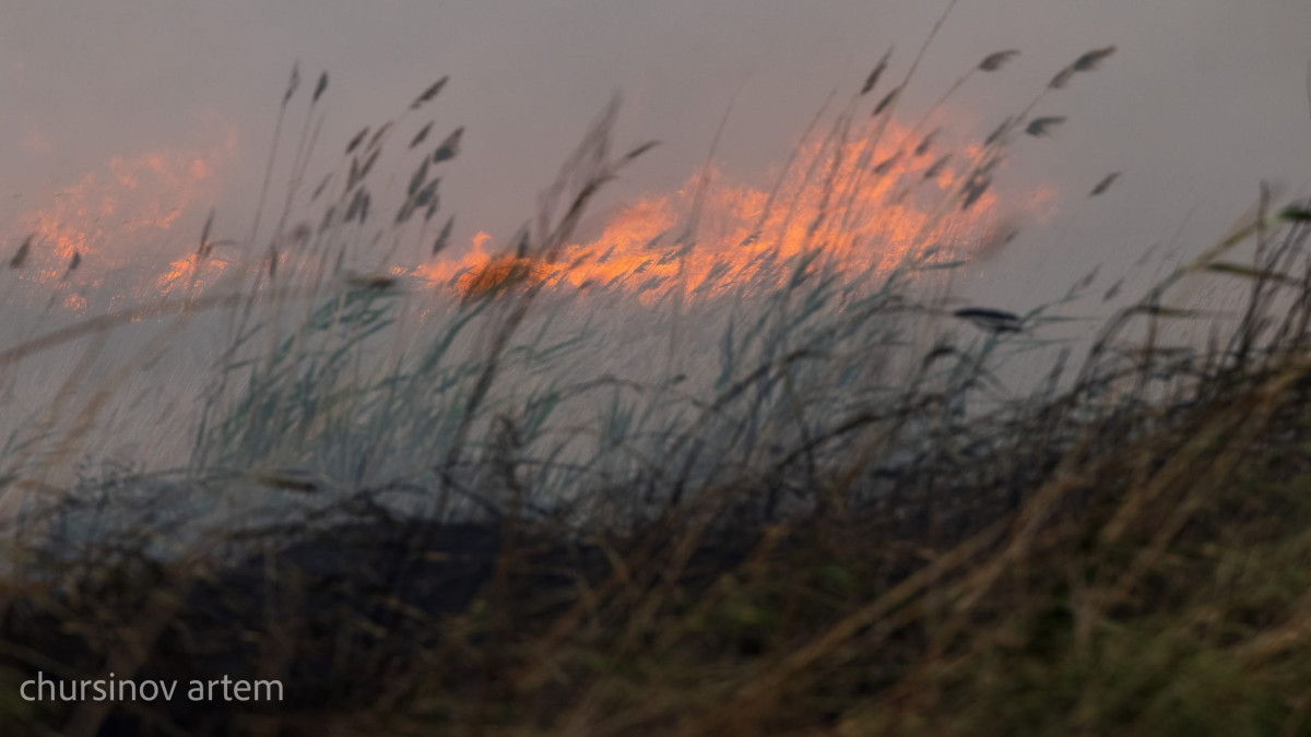  ©BAQ.KZ архиві/Артем Чурсинов