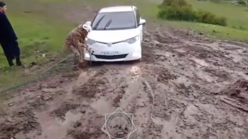 Фотография к новости: Түркістан облысында бес жеңіл көлік балшыққа батып қалған