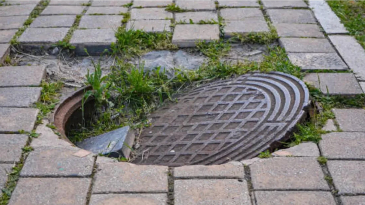 istockphoto