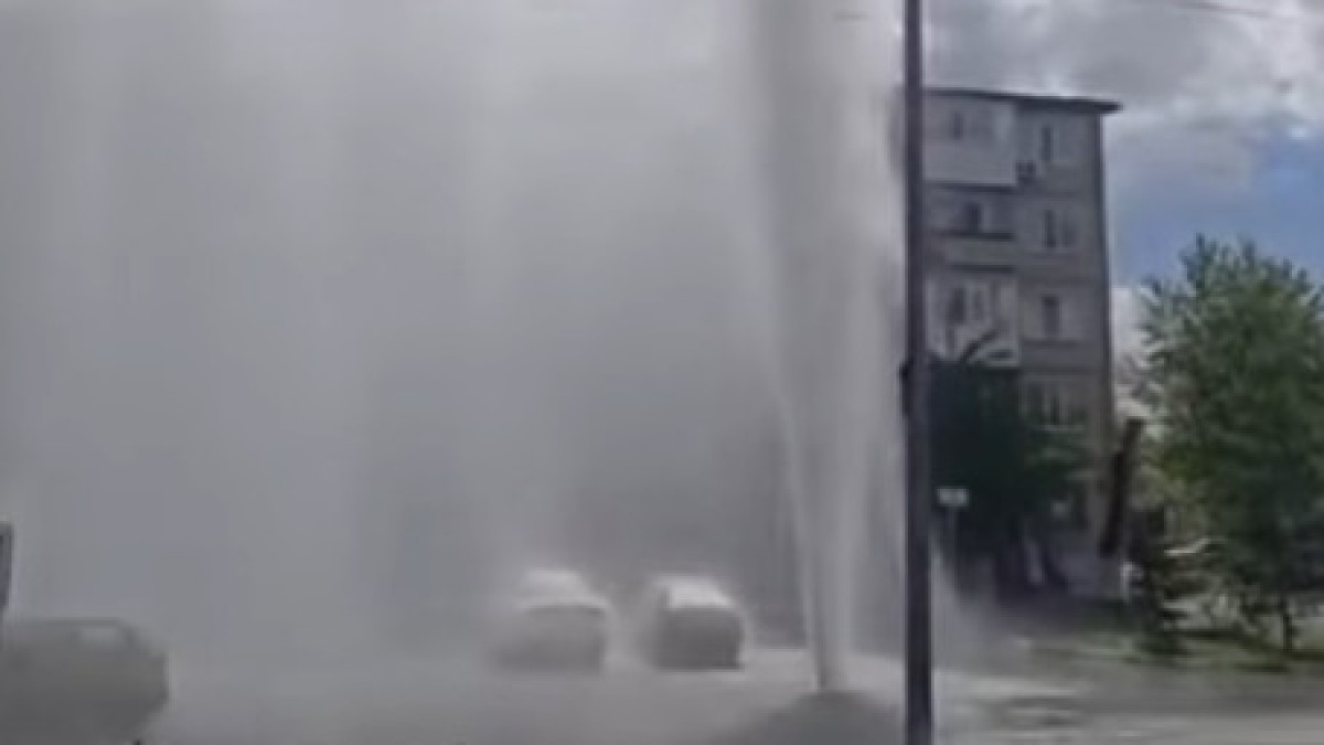  видеодан скриншот