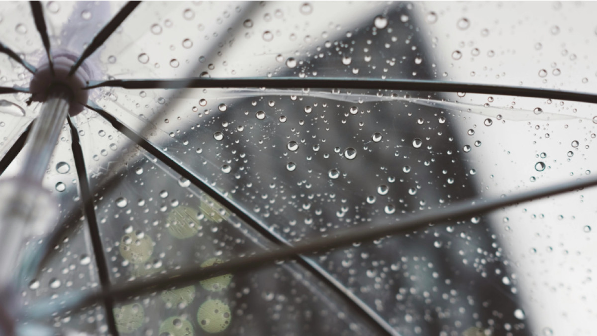  unsplash.com