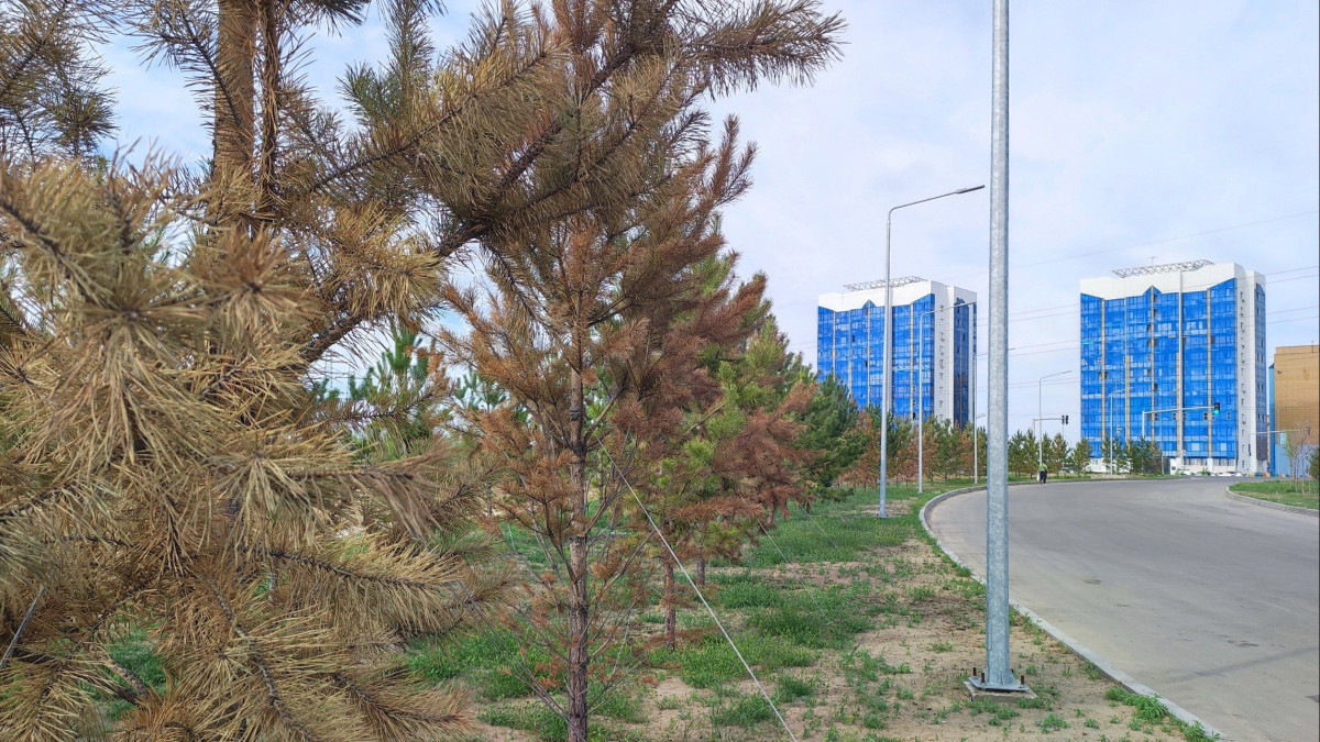  Альбина Халел