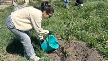 Фотография к новости: "Таза Қазақстан": Астанада 30 мыңға жуық ағаш отырғызылды