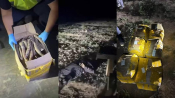 Фотография к новости: Жетісу облысында 500 келіден астам киік мүйізінің заңсыз айналымына тосқауыл қойылды