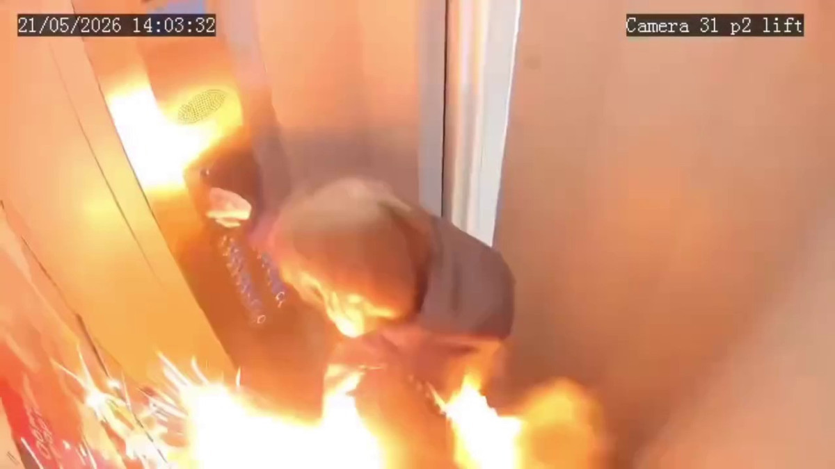  видеодан скриншот