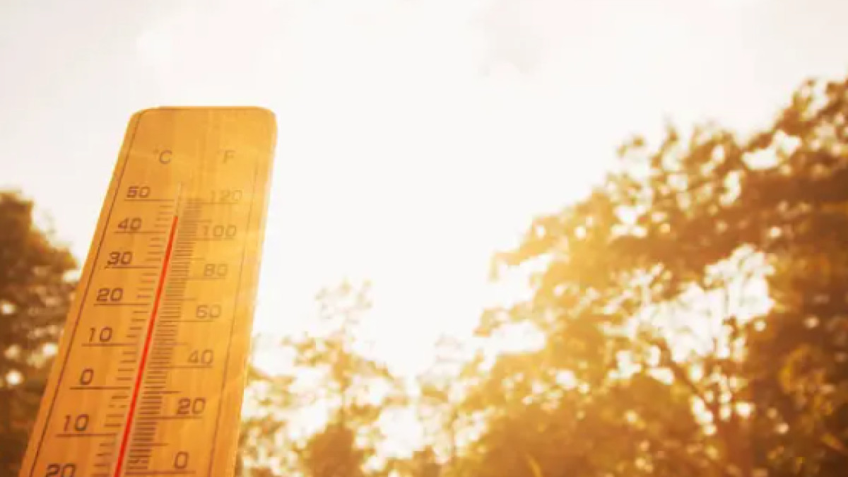 depositphotos.com