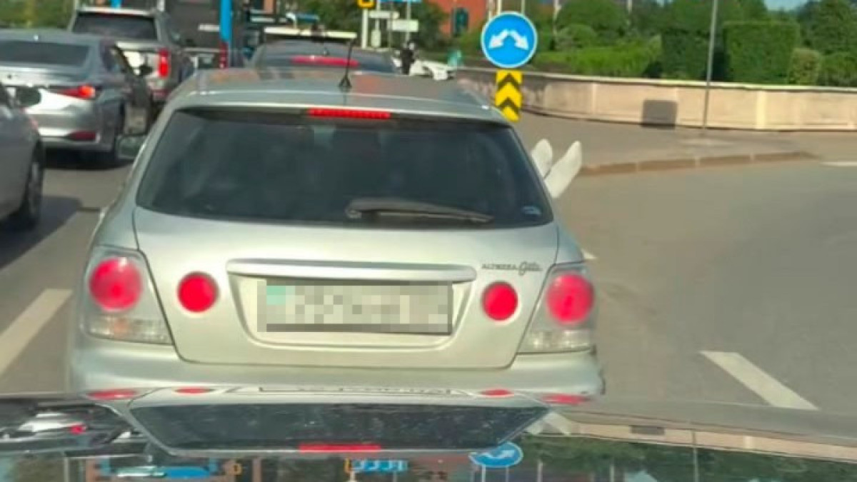  видеодан скриншот
