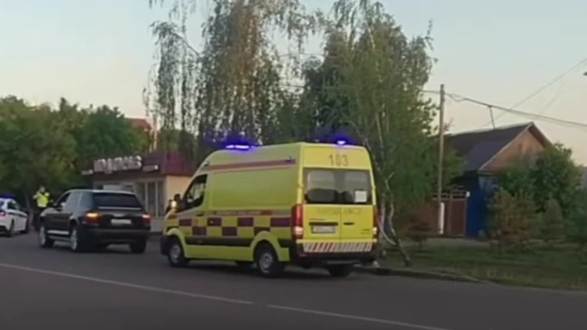  видеодан скриншот