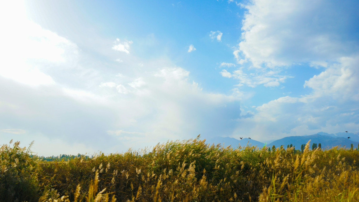  unsplash.com