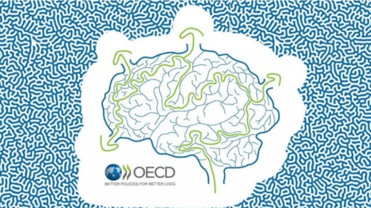  oecd-opsi.org