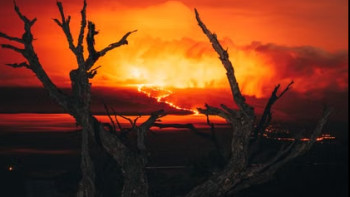 Фотография к новости: Бурабайда найзағайдан тұтанған өрт үлкен аумаққа таралмай тоқтатылды